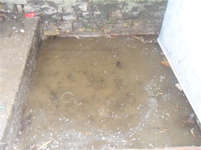 Wet Basement - Toronto Waterproofers