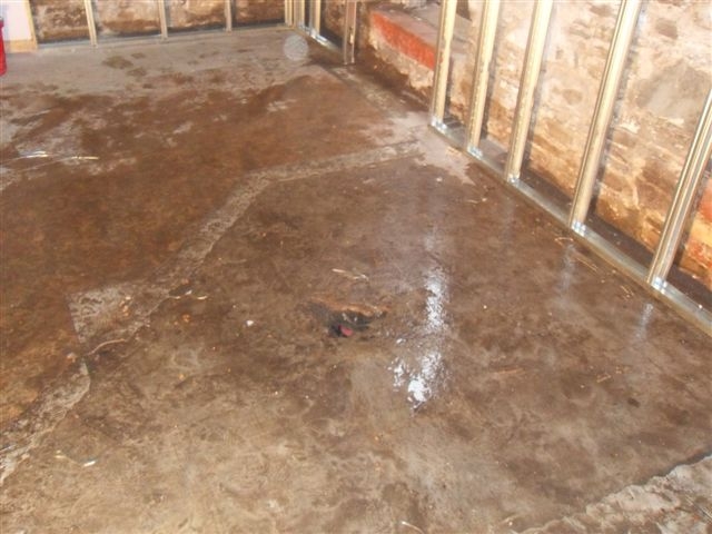 Wet Basement